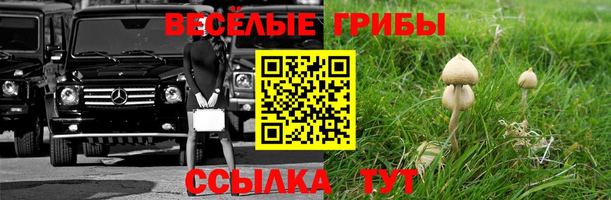 Галлюциногенные грибы прущие грибы  Галлюциногенные грибы Magic Shrooms  Ачхой-Мартан  Вход с VPN 