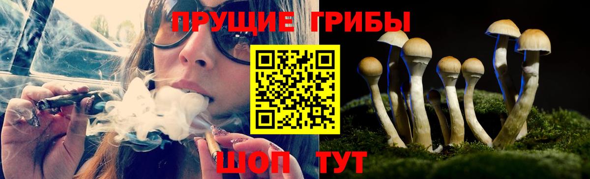 Галлюциногенные грибы мухоморы Ачхой-Мартан