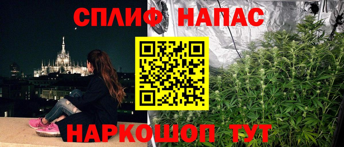 Шишки марихуана сатива Ачхой-Мартан